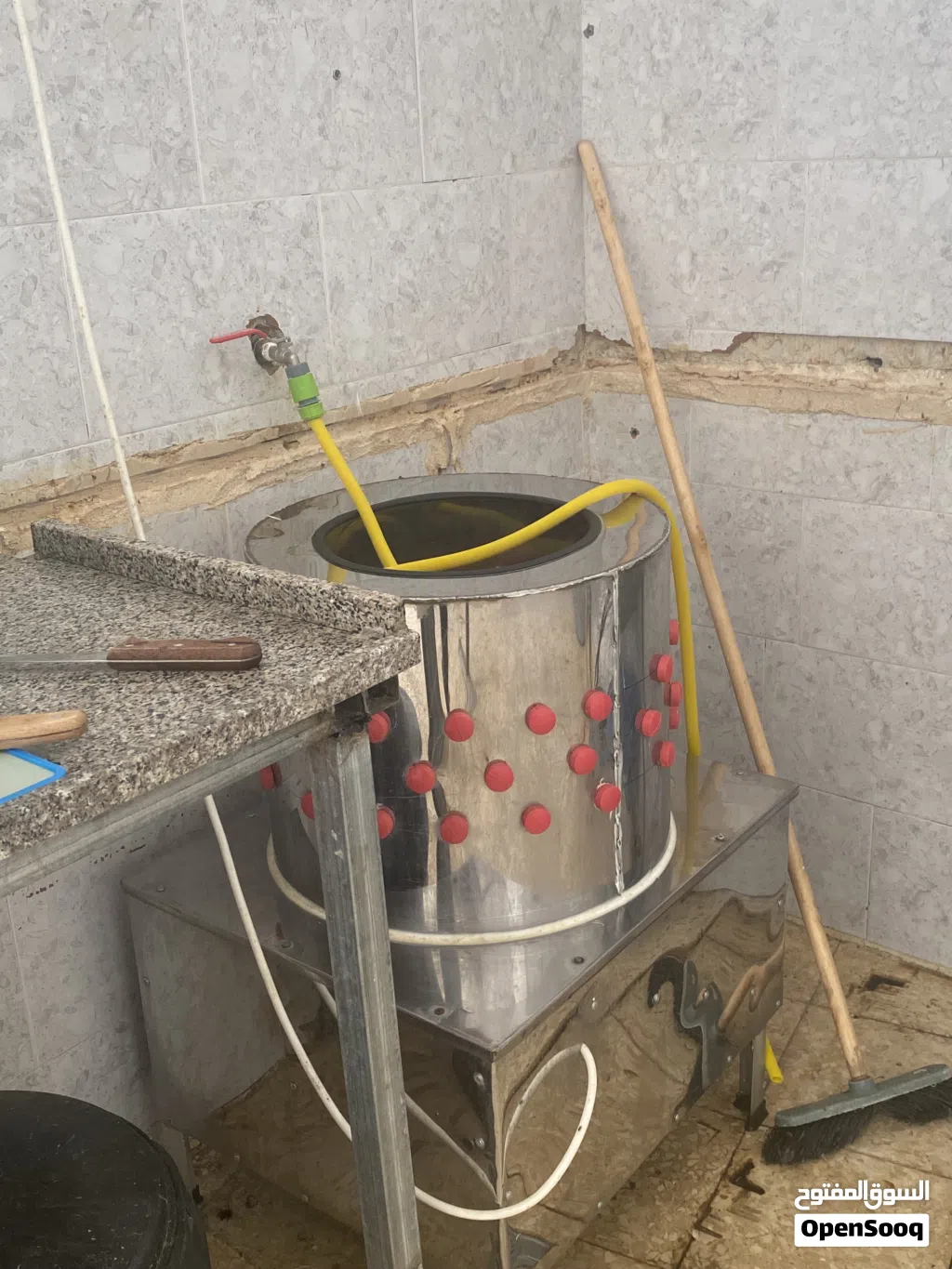محل دواجن للبيع بكامل معداتو بسعر مناسب