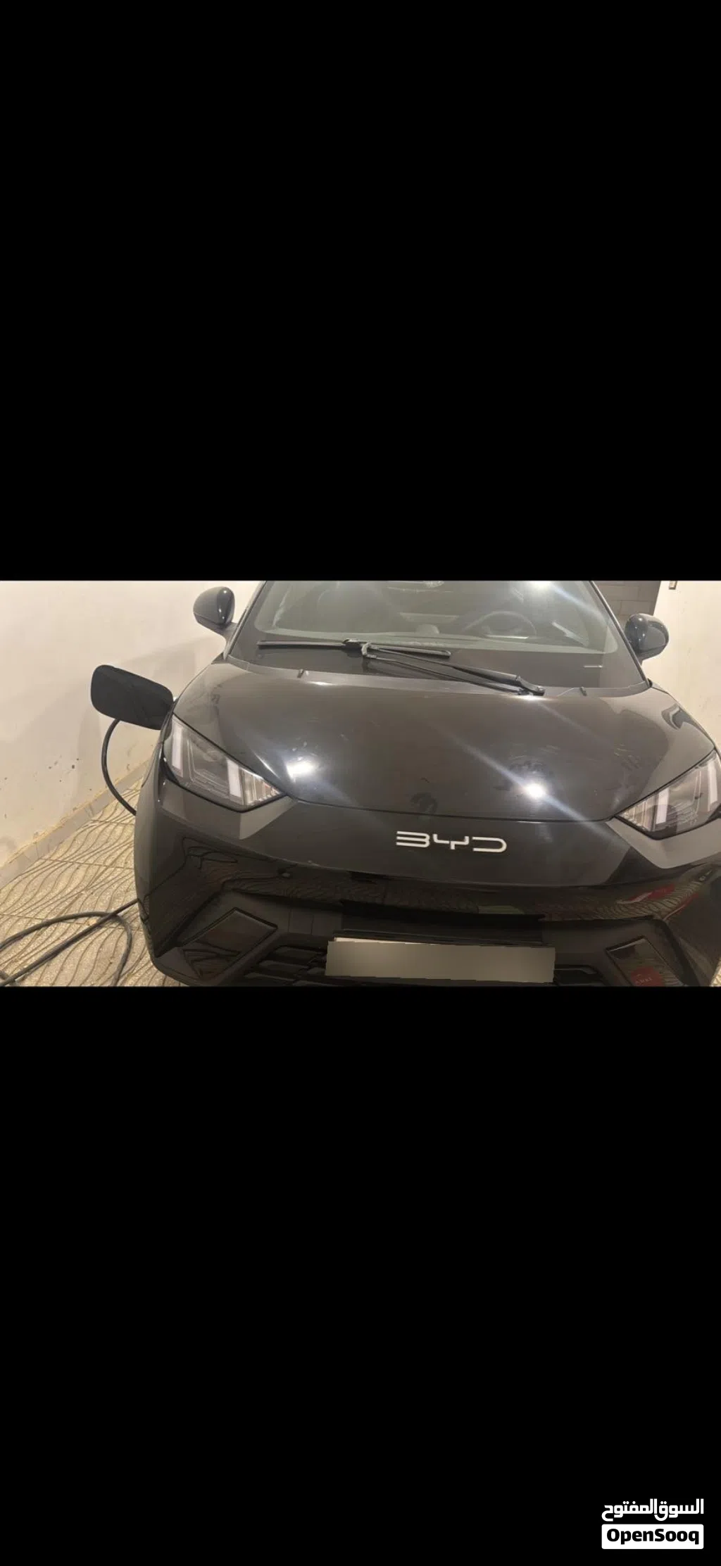 BYD Seagull
