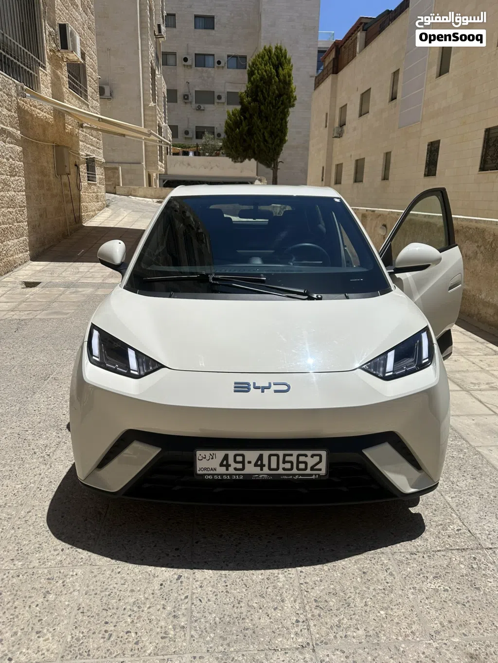 BYD Seagull
