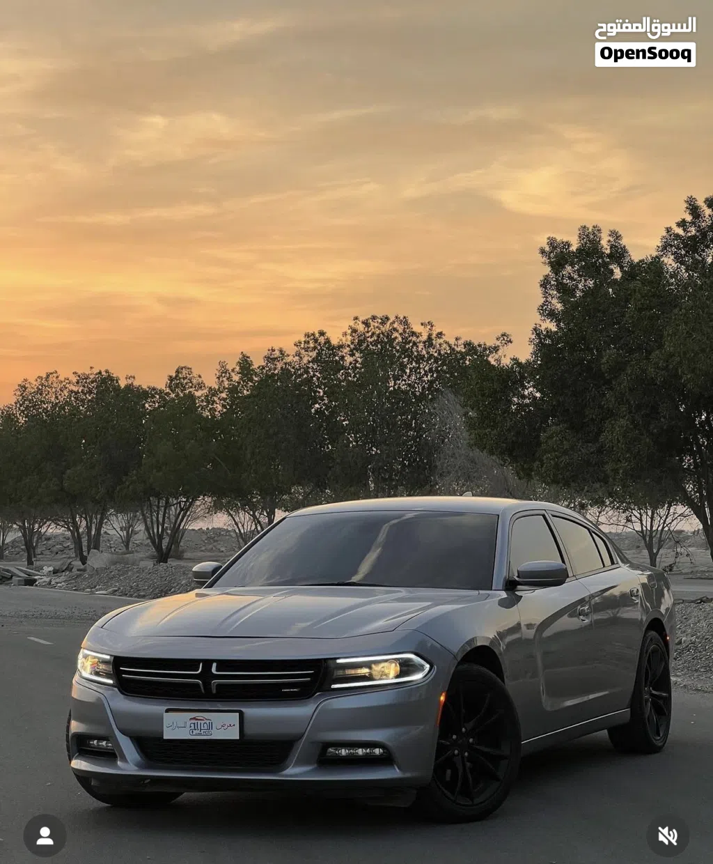 Dodge Charger SXT