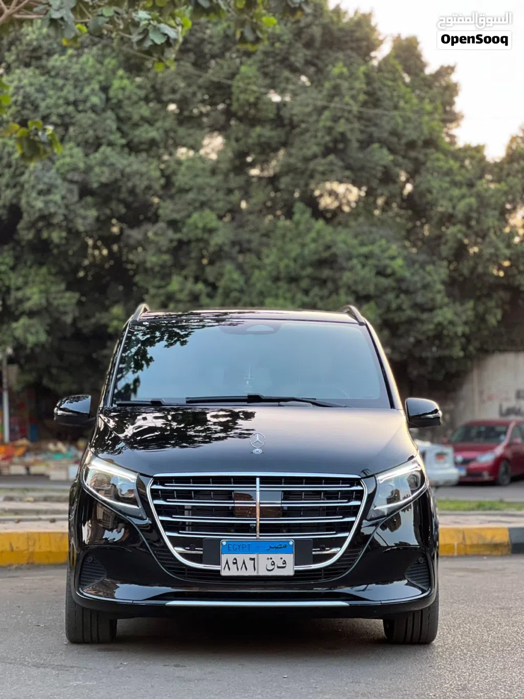 Mercedes Benz V-Class V 300