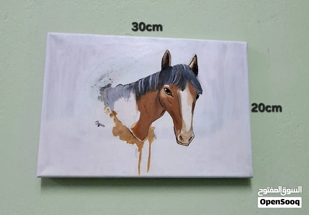 لوحة رسم حصان بمقاس 20cm×30cm سعر قابل للتفاوت