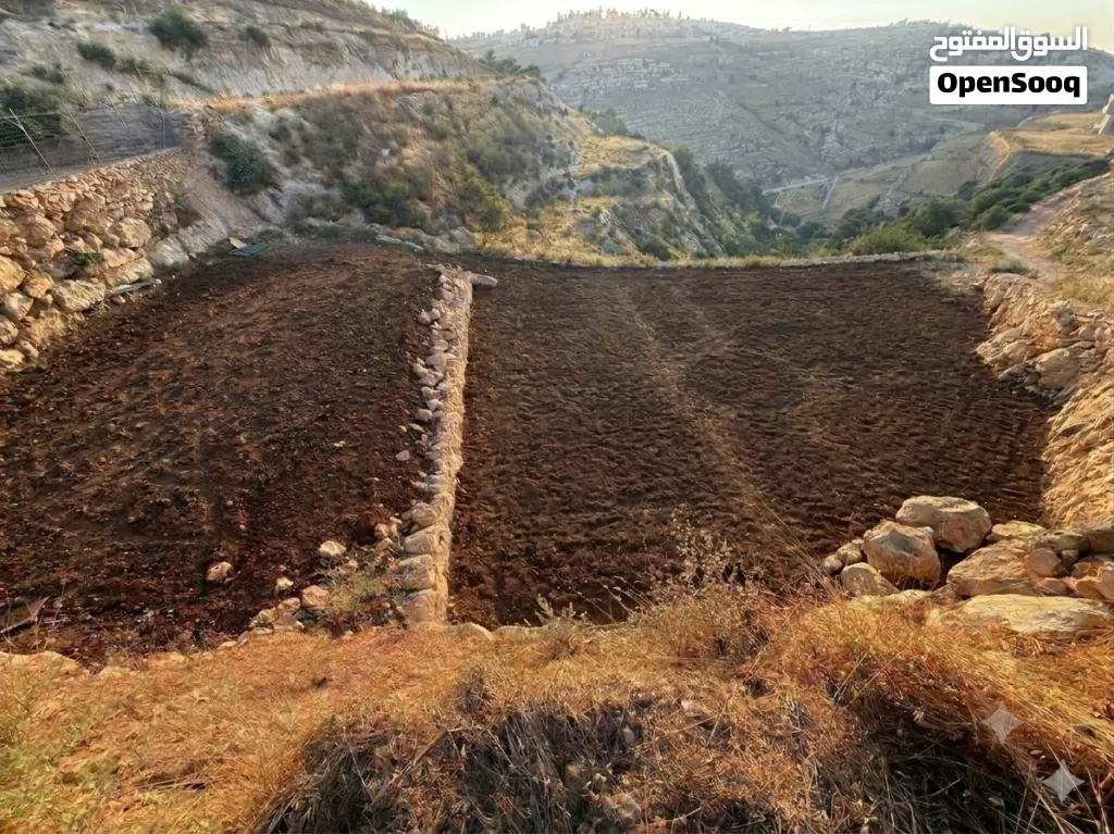 أرض بمساحة 950 متر مربع