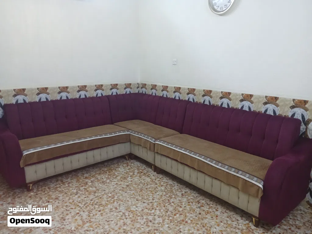 تخم للبيع نضيف
