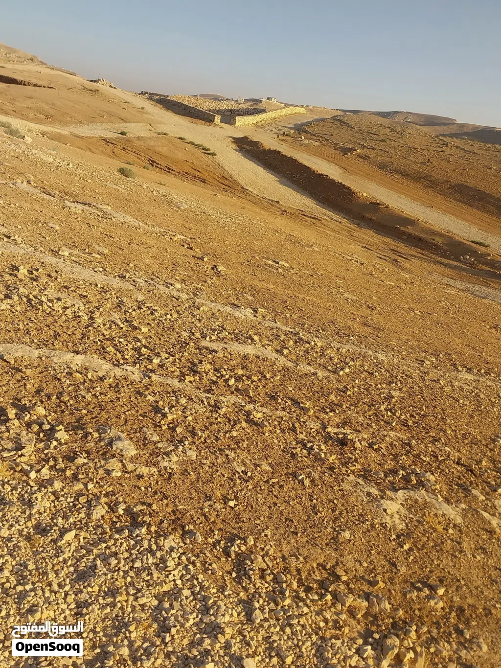 ارض على طلة رصيفه