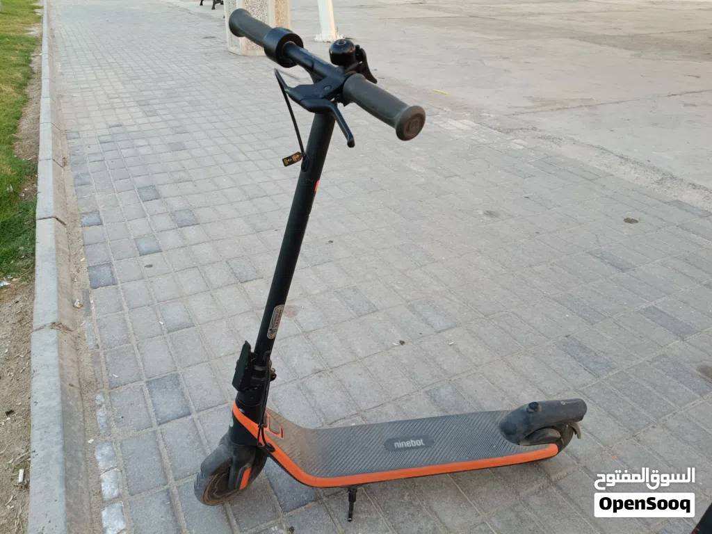 Kids Electric Scooter