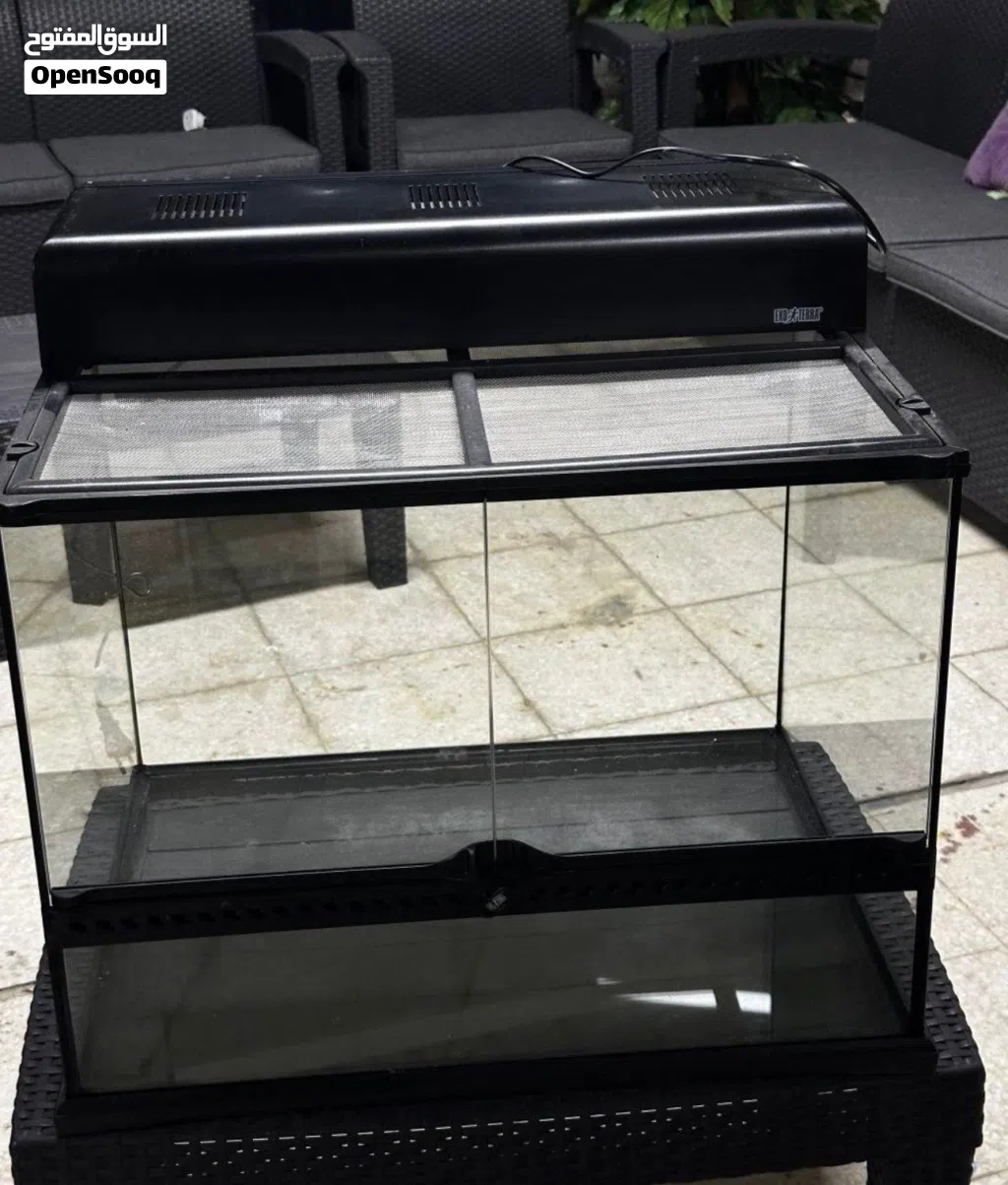 Medium size Terrarium with light hood