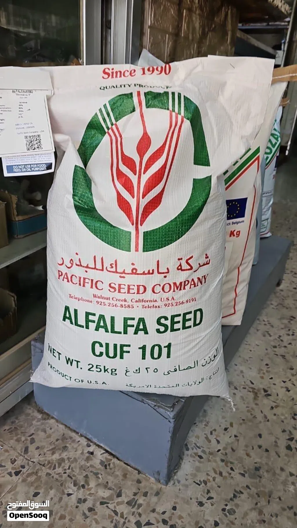 بذور البرسيم للبيع