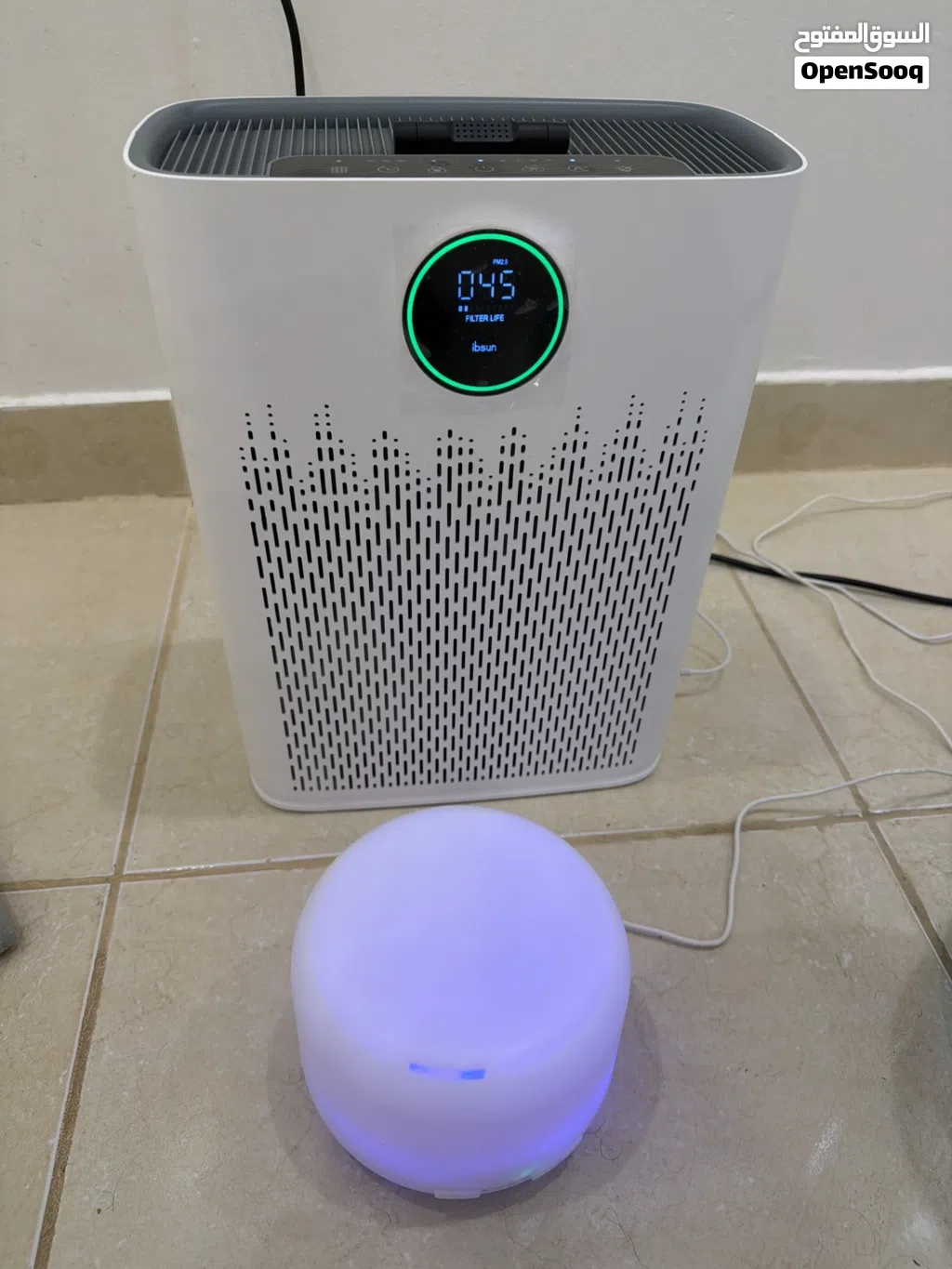 Air Purifier and Humidifier