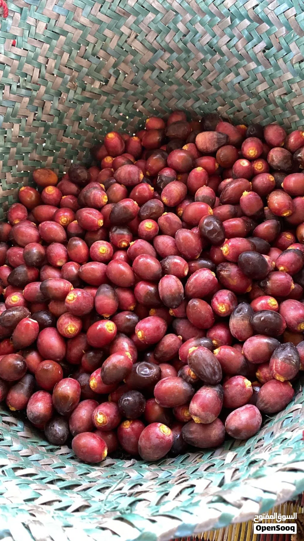 رطب خنيزي نوع فاخر