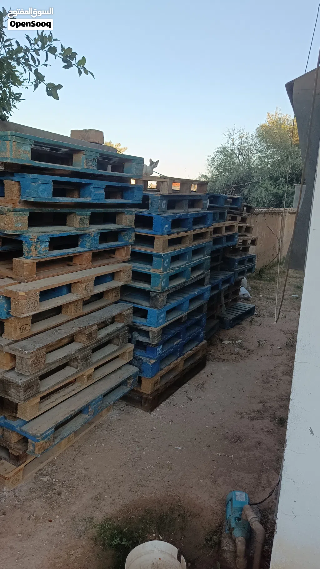 بدأت أوربية