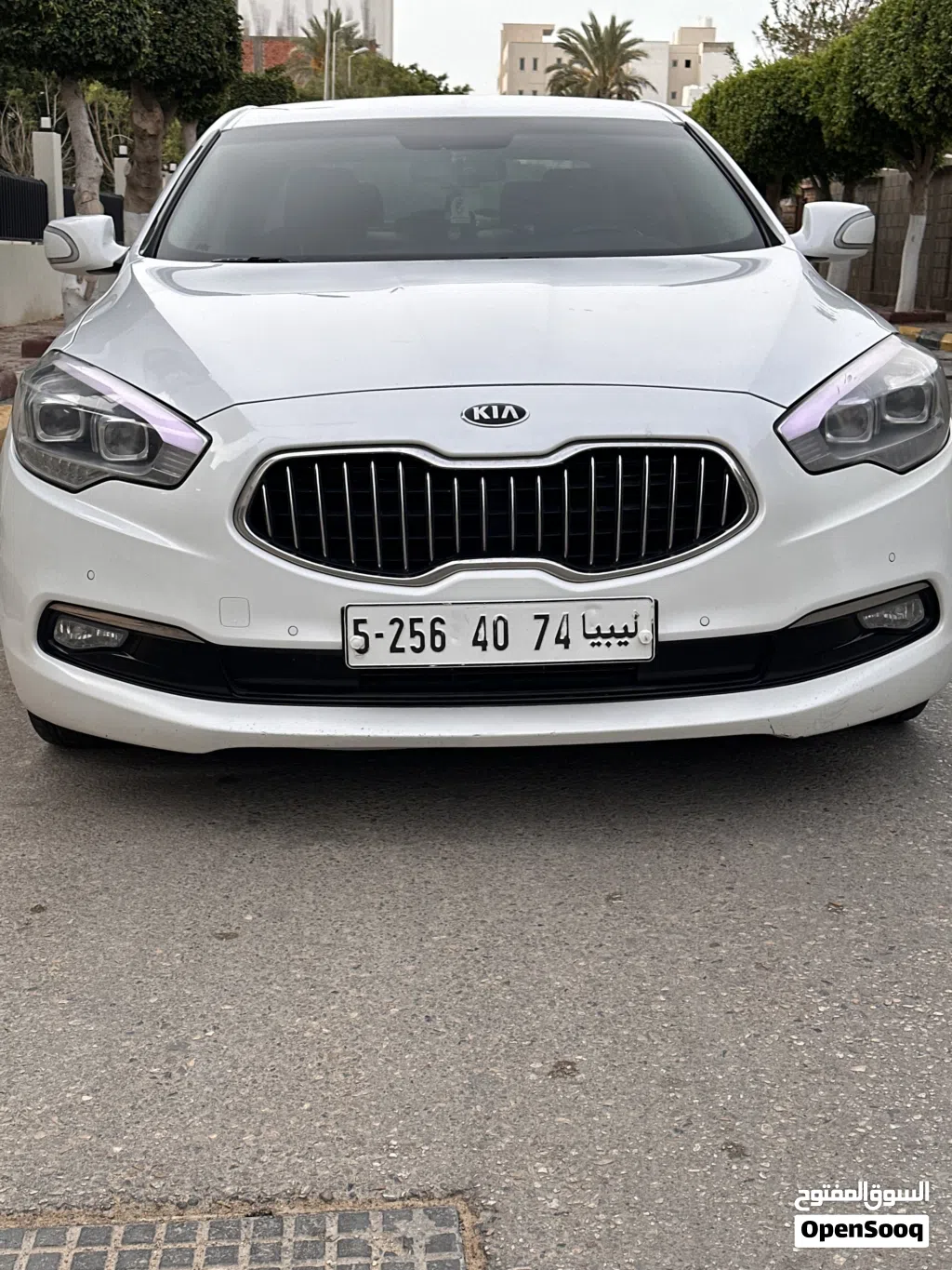 كيا كوريس VIP
