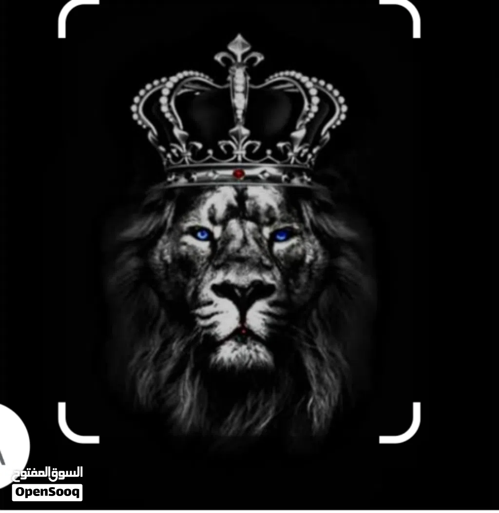 مطلوب لابتوب