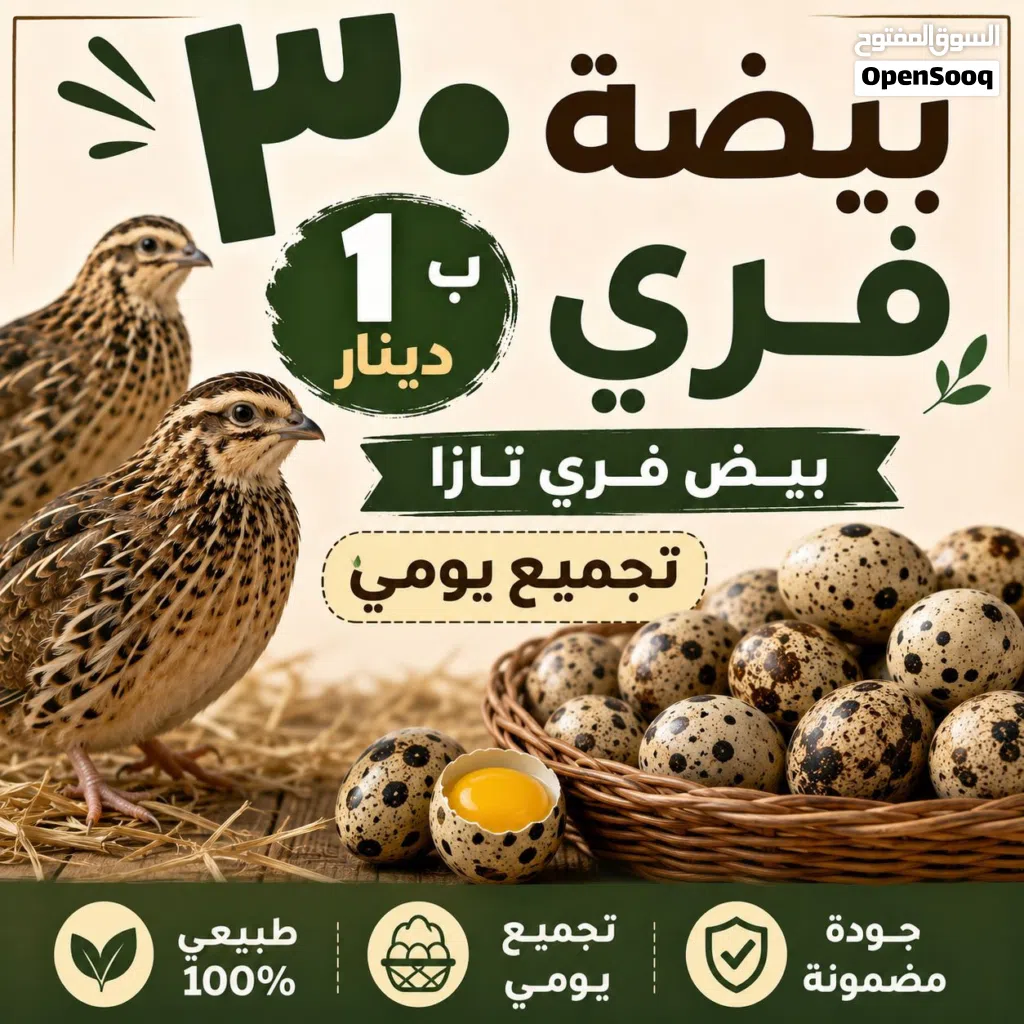 متوفر بيض فري تازا تجميع يومي
