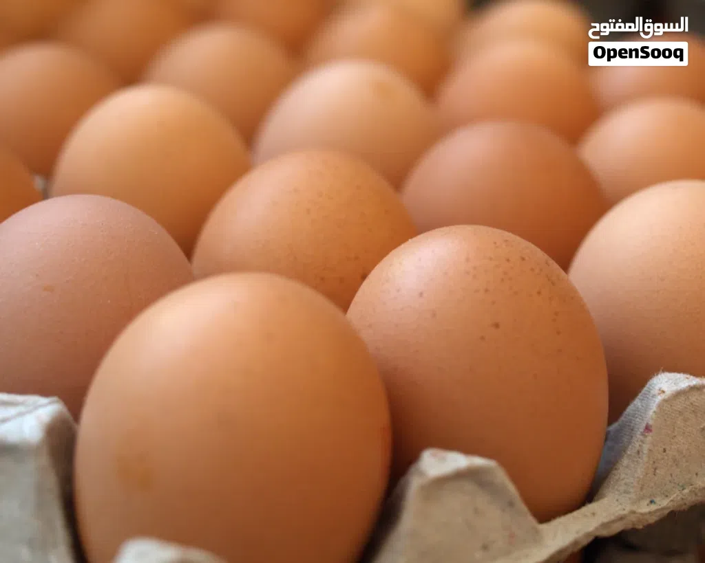 بيض عمان طازج – 30 حبة