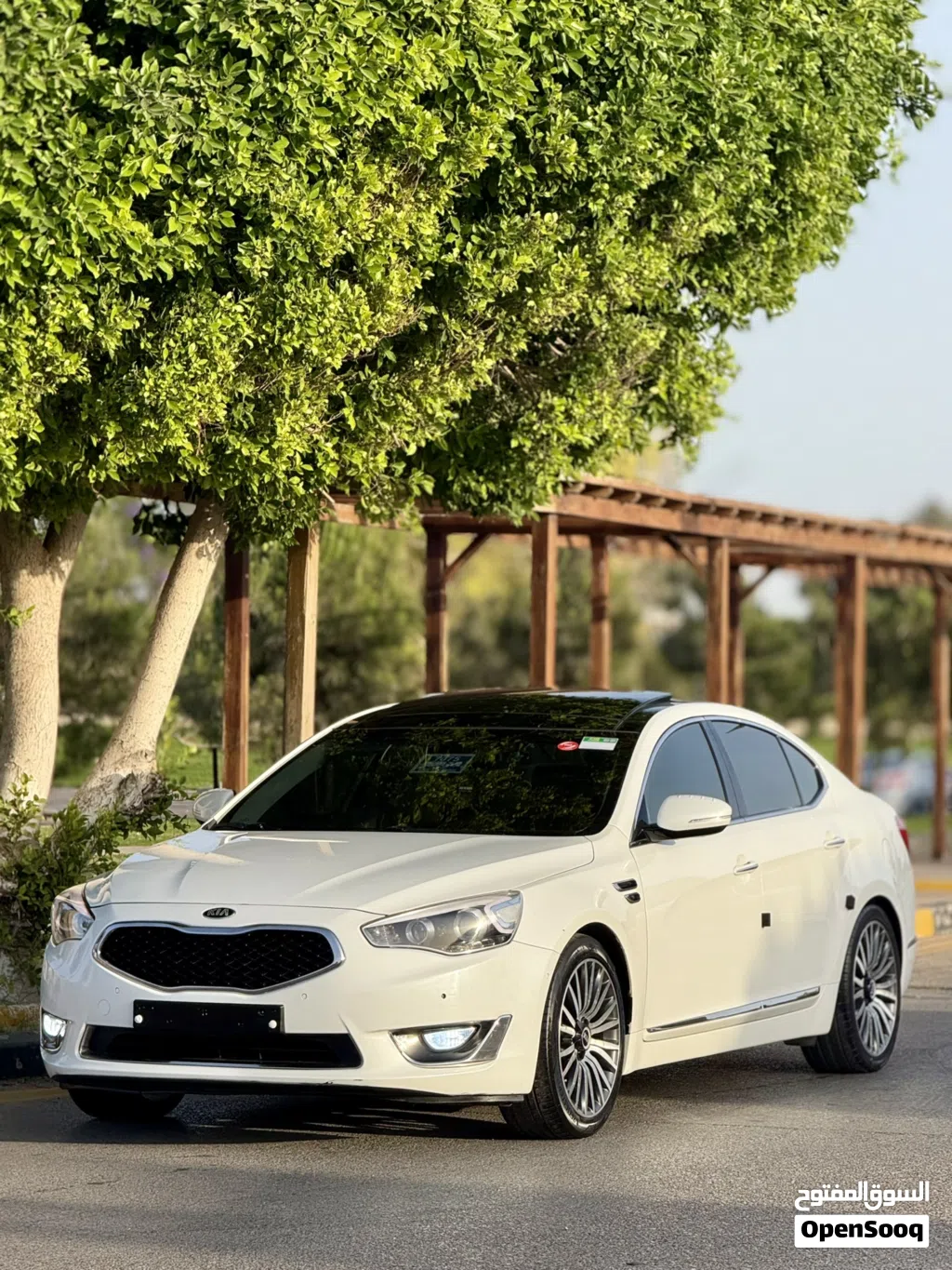 كيا كادينزا Limited