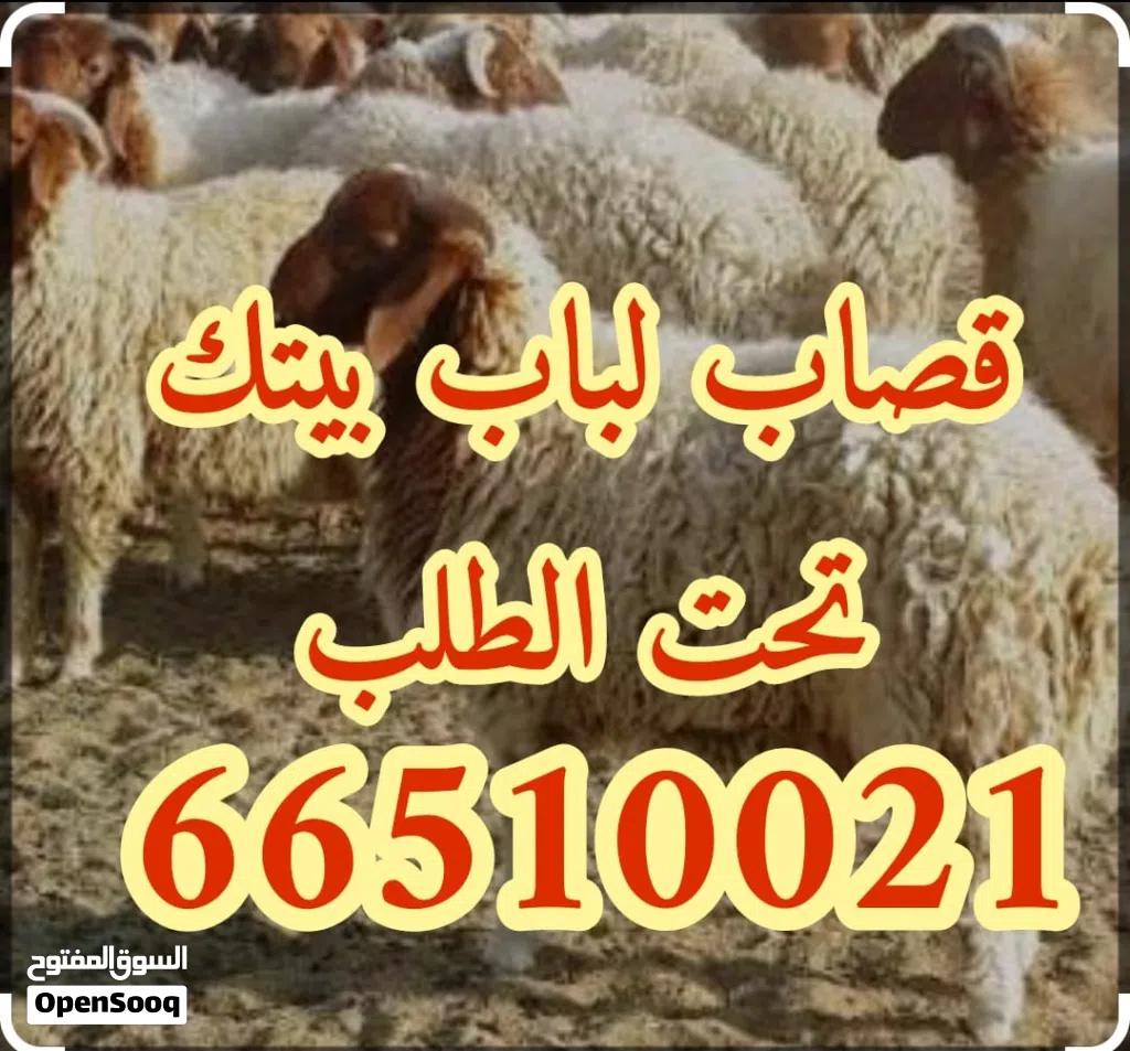 قصاب متنقل تحت الطلب لجميع مناطق الكويت