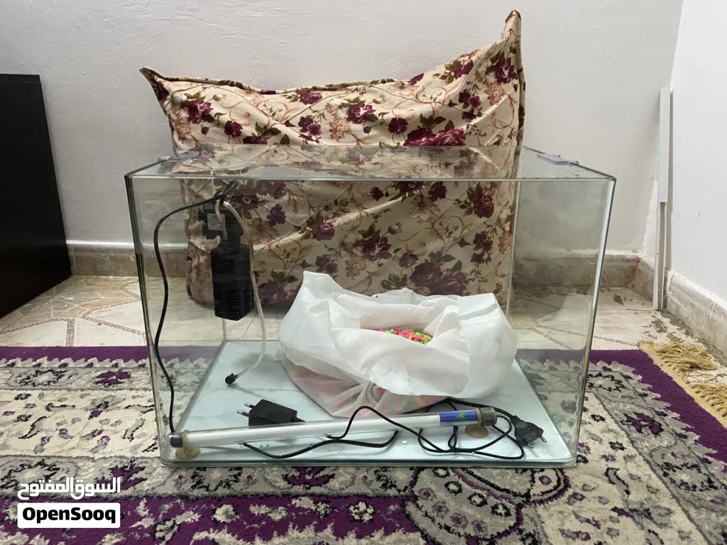 حوض اسماك.