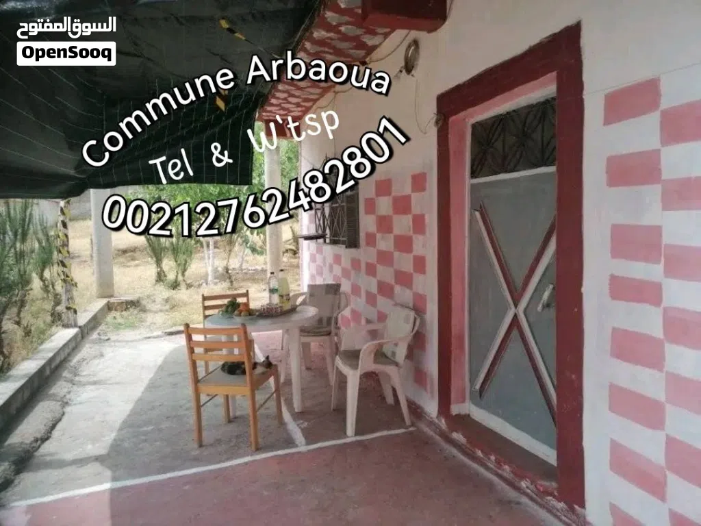 أرض بسكن في جماعة عرباوة
