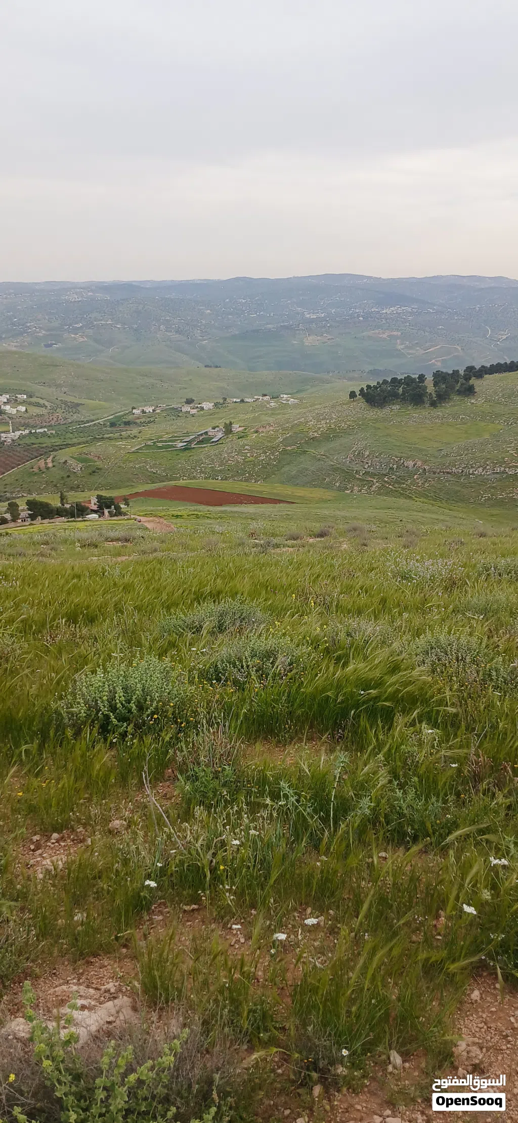 قطعه ارض في جرش للبيع