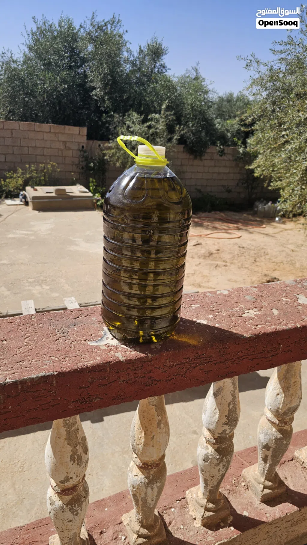 زيت زيتون الجبل الغربي