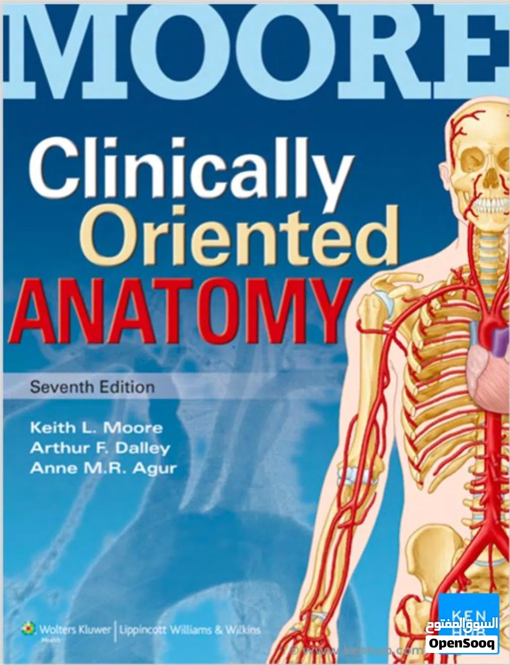 شرح مادة الاناتومي ( علم التشريح البشري ) لكل التخصصات الطبية - Anatomy teaching