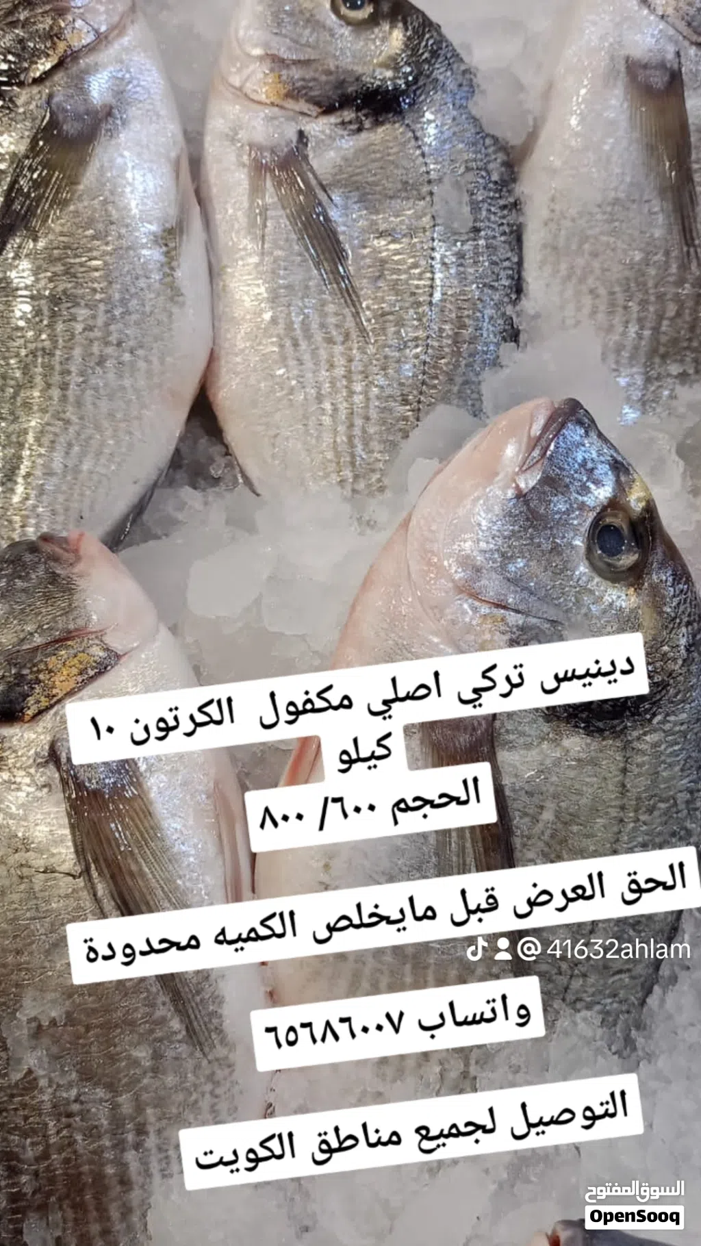 اسماك فريش ممتازة
