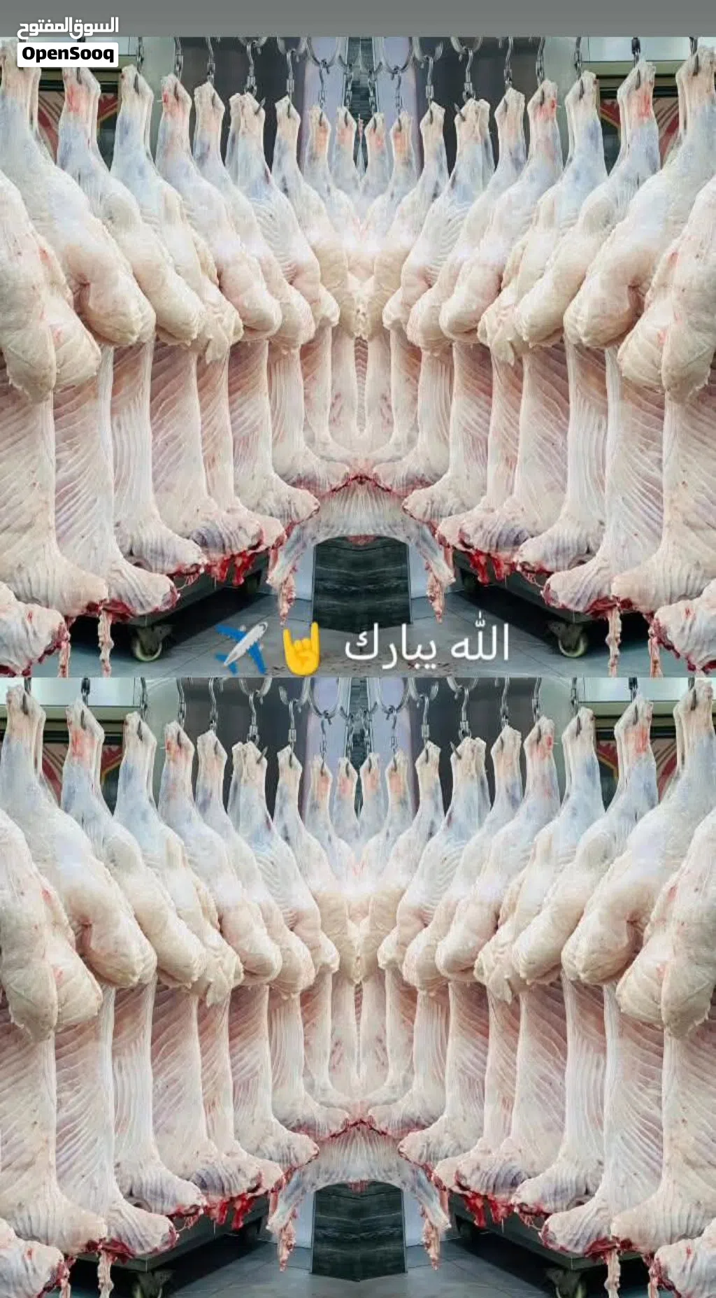 تقبل الله طاعاتكم وصالح أعمالكم، وعساكم من عواده! لتجهيز أضحيتكم بكل سهولة وراحة بال في بيوتكم،