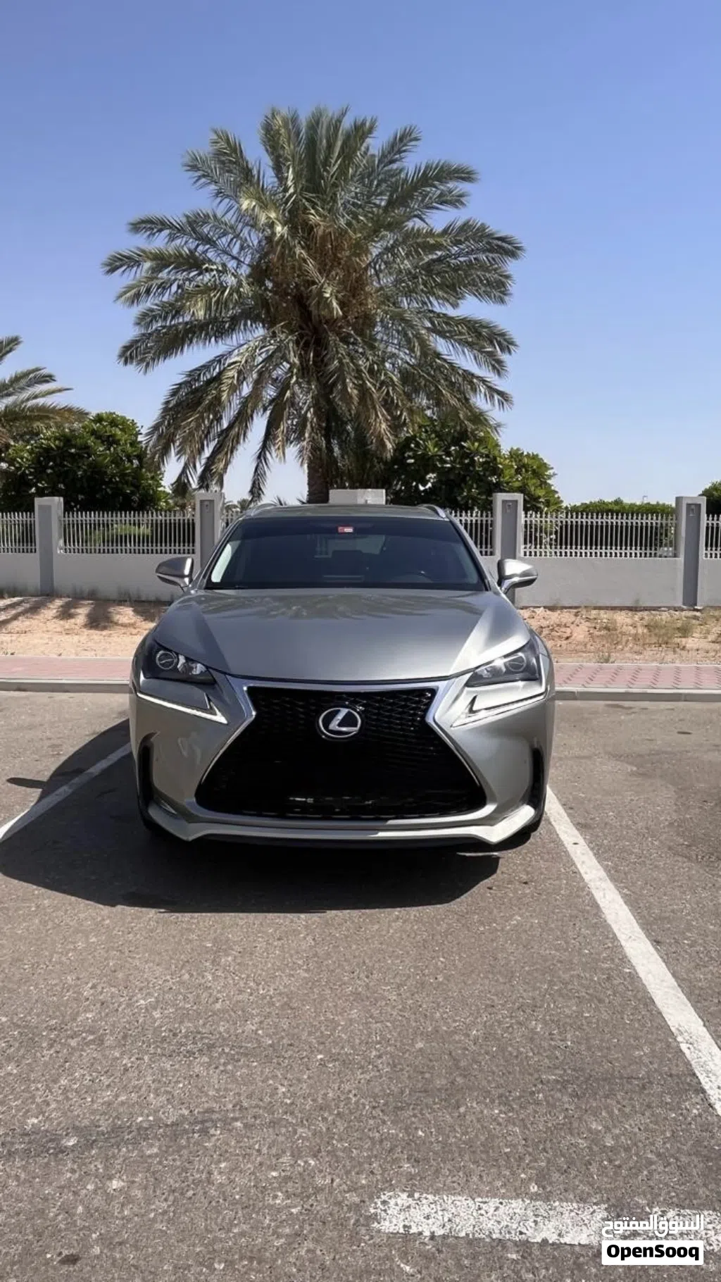 Lexus NX Standard
