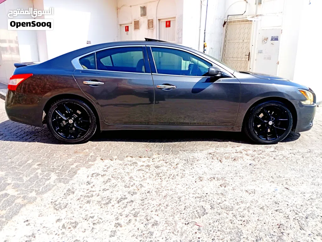 Nissan Maxima Standard