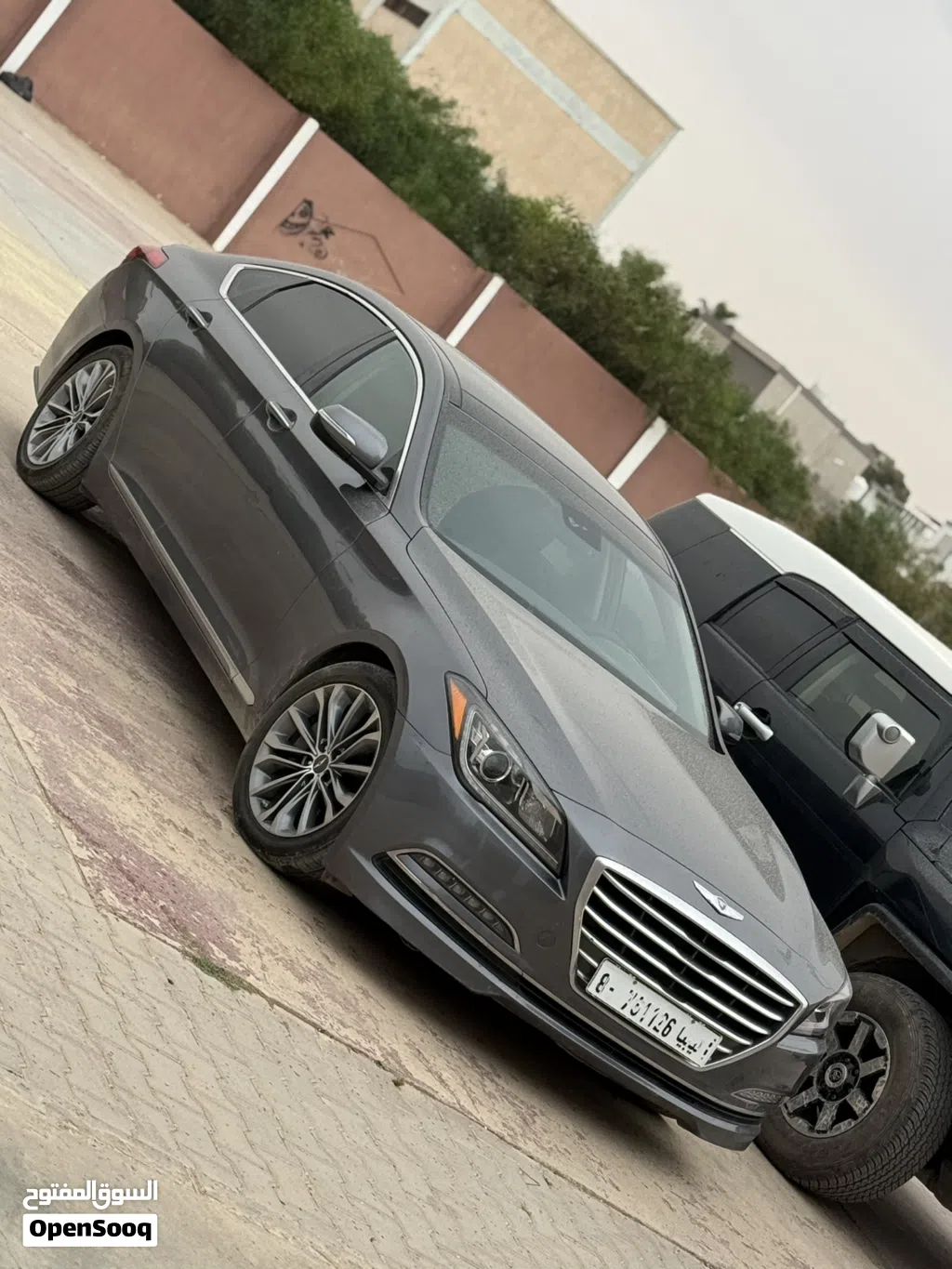 Genesis Other