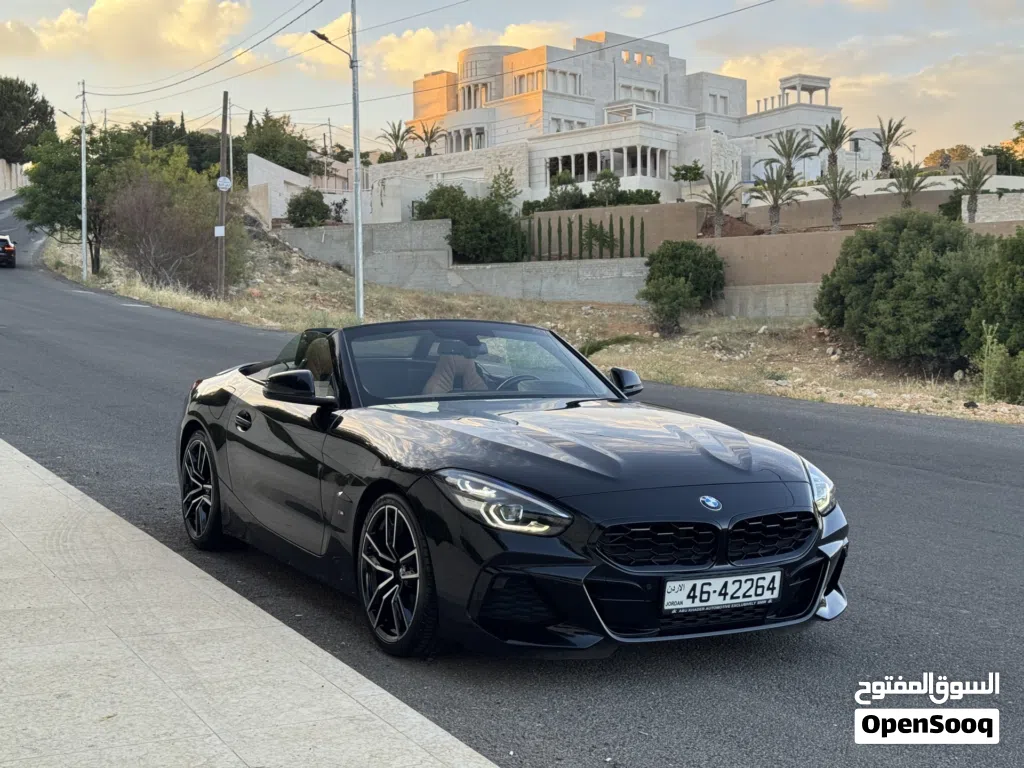 بي ام دبليو الفئة Z Z4 sDrive30i