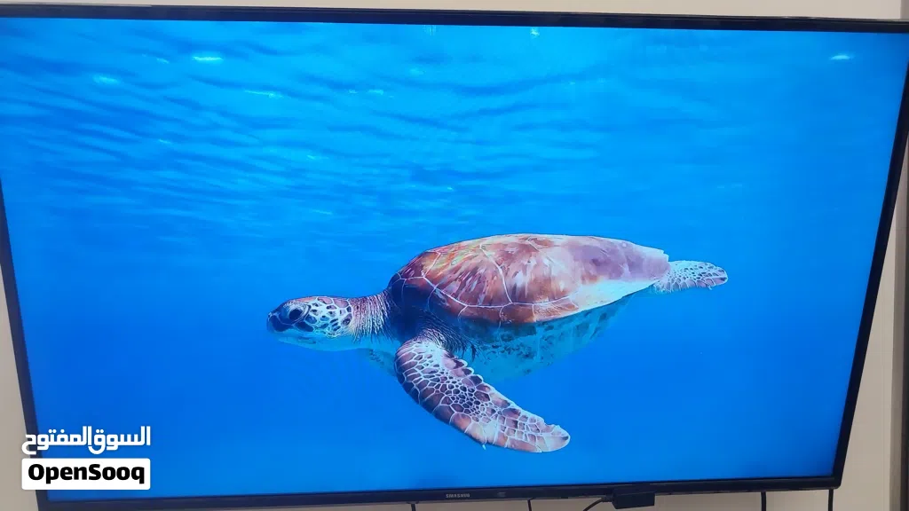 تلفزيون 43 بوصة HD مستعمل استعمال انظيف خالي من العيوب تلفزيون اموره طيبة من كل شي وتعال وجرب وشوف