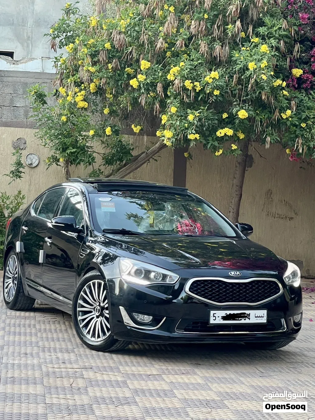كيا كادينزا Limited