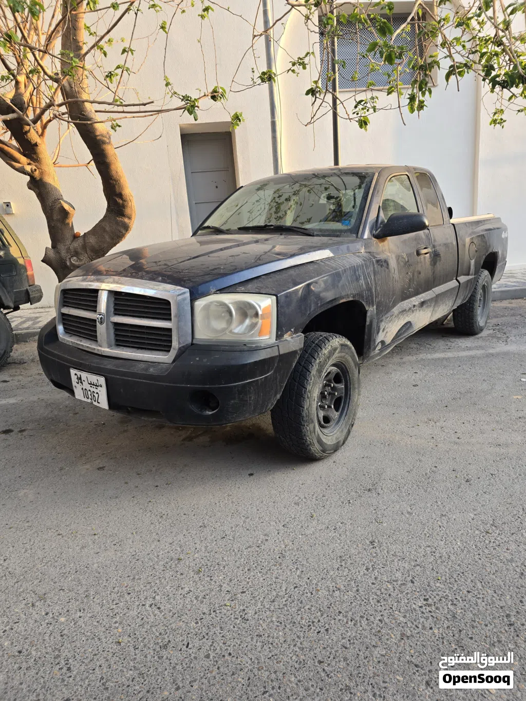 دودج اخرى