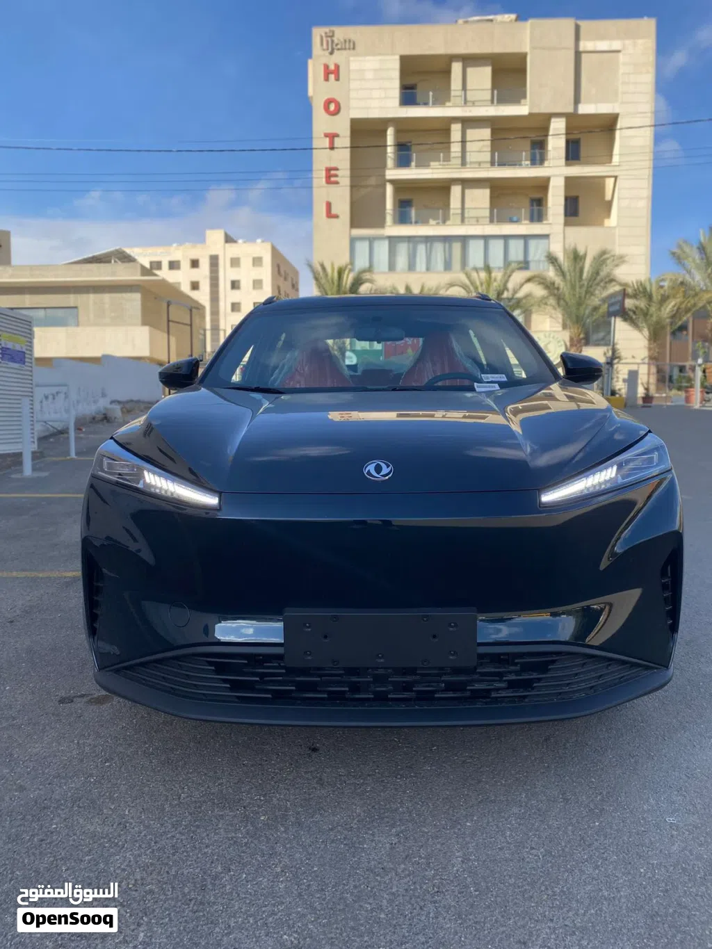 Dongfeng Sky EV01