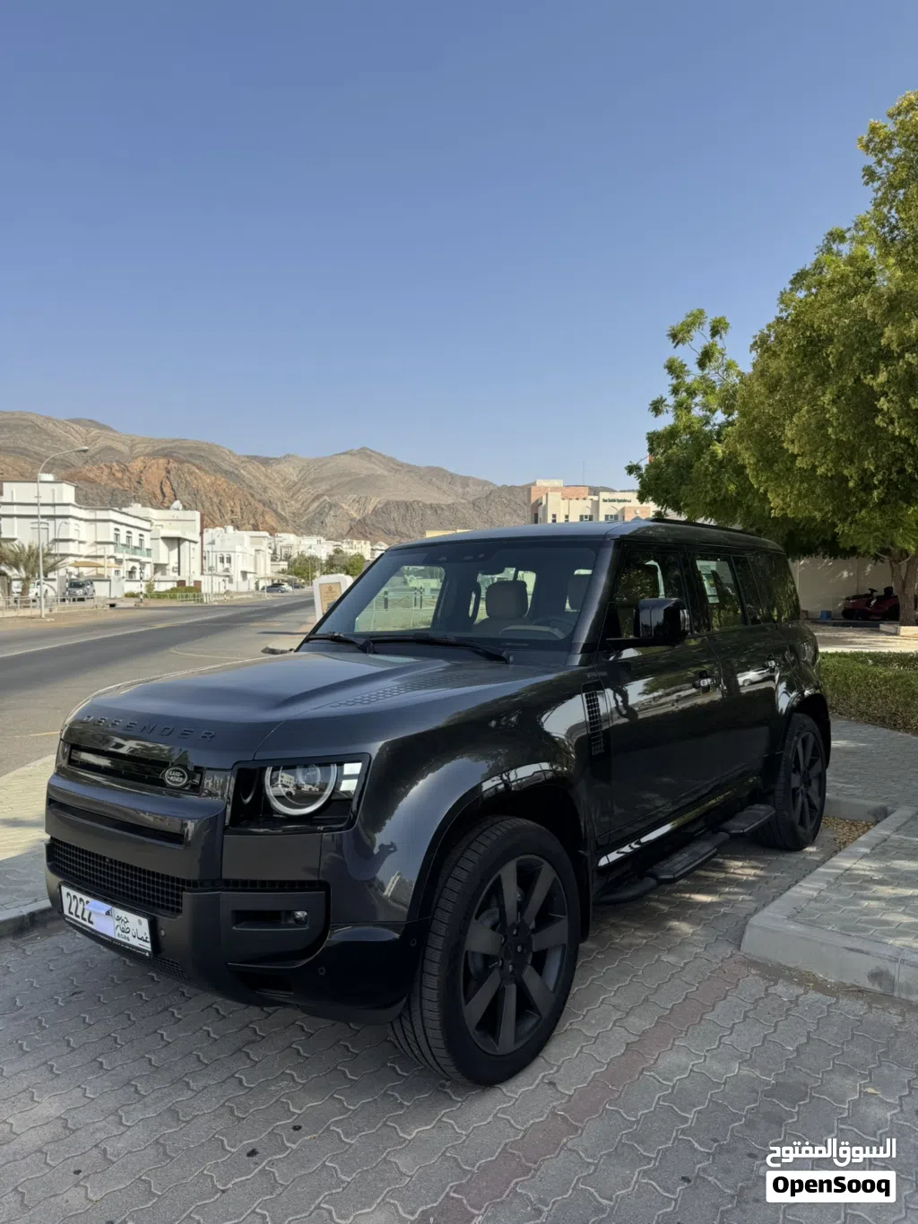 Land Rover Defender 110 X