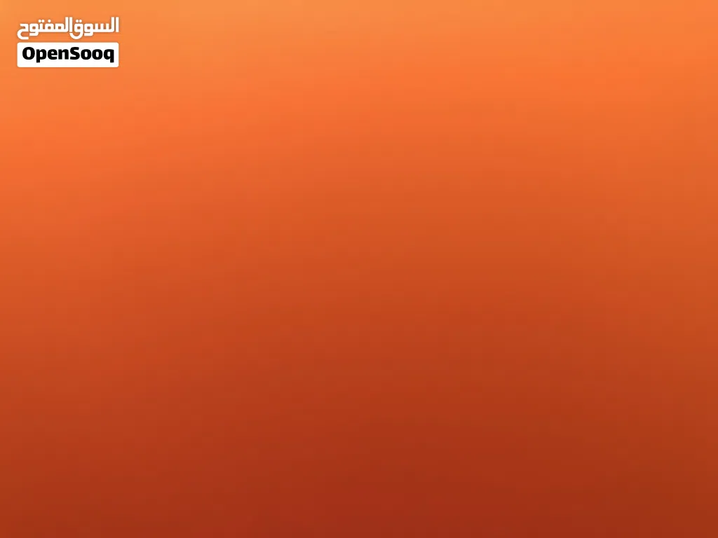 مطلوب كلب للتبني في الزرقاء