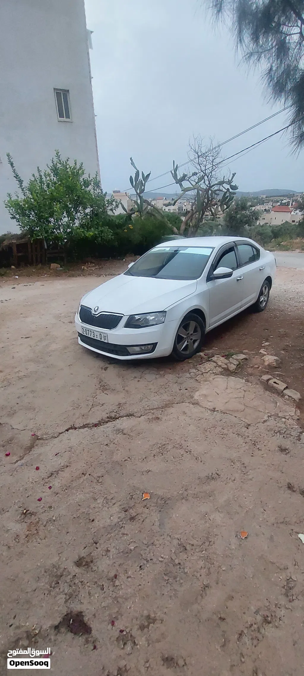 سكودا اوكتافيا Standard
