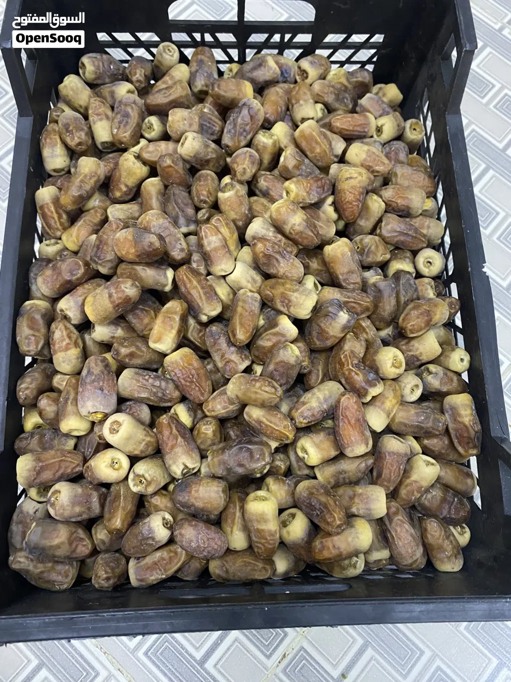 تمر نغال محقب