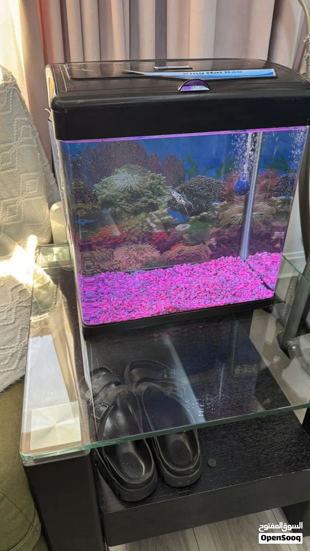حوض سمك Aquarium