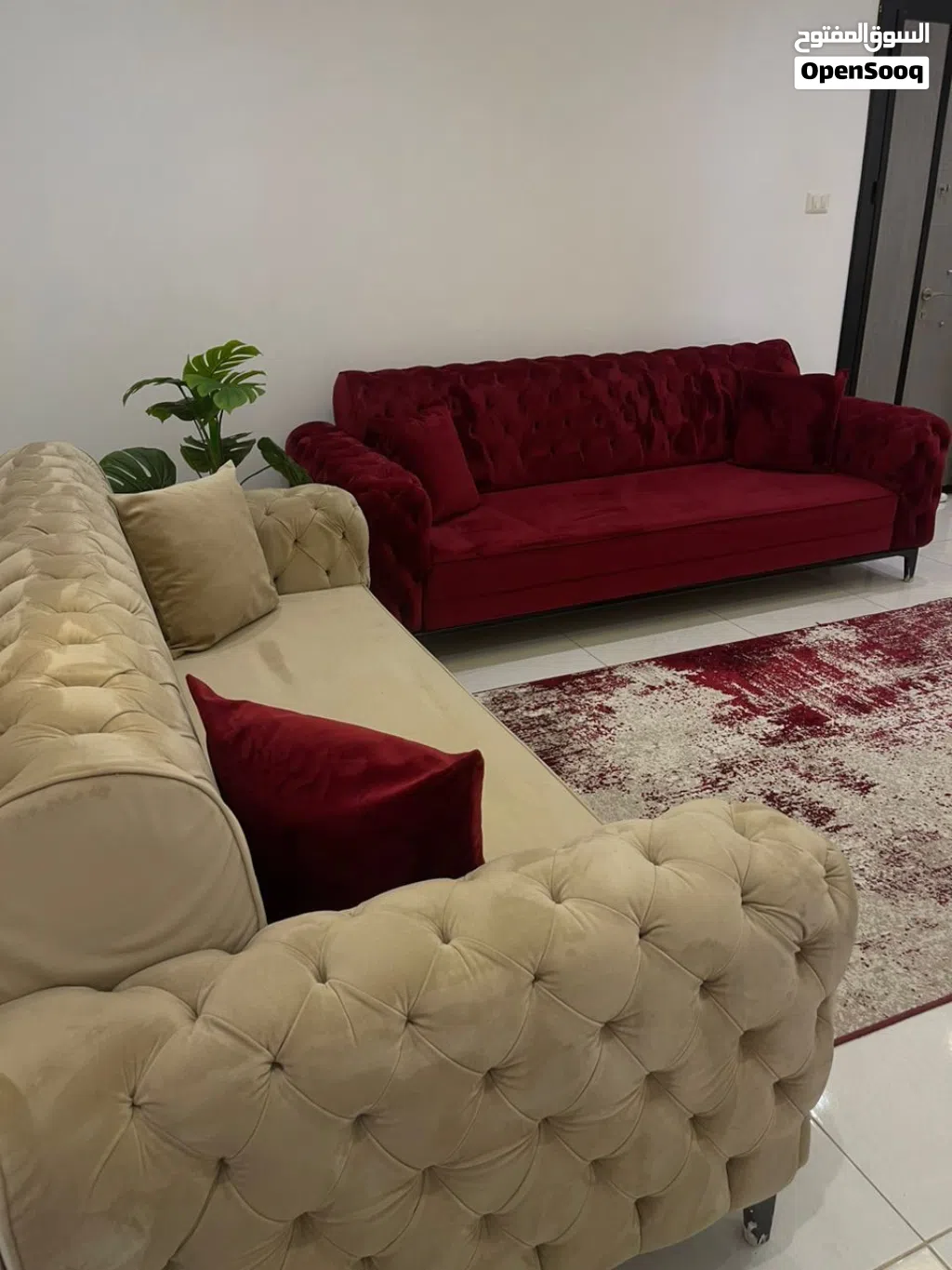 كنبات كبيتوني