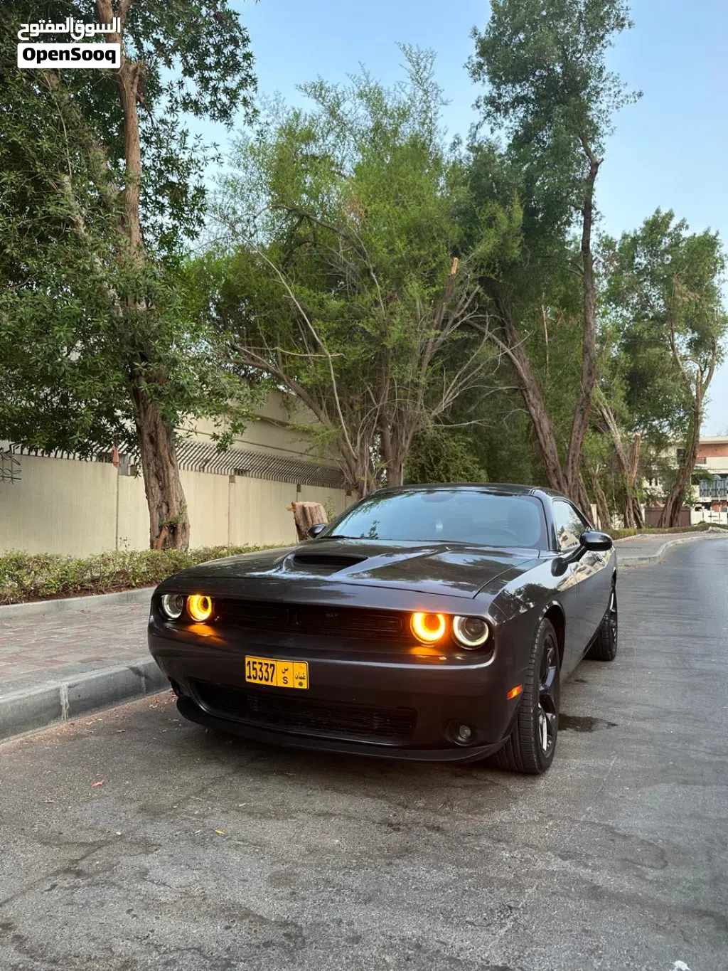 Dodge Challenger SE