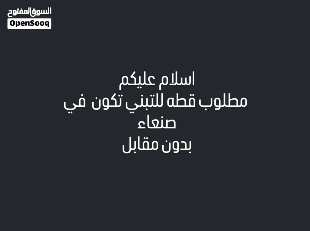 اسلام عليكم مطلوب قطه للتبني تكون في صنعاء بدون مقابل