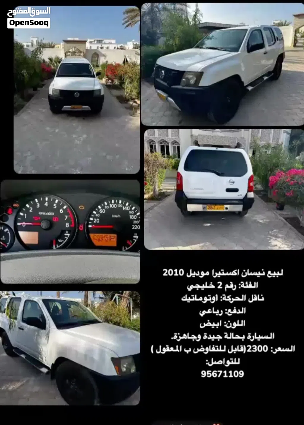 Nissan X-Terra Platinum
