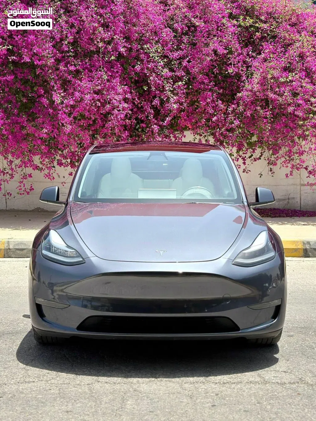 Tesla Model Y Performance