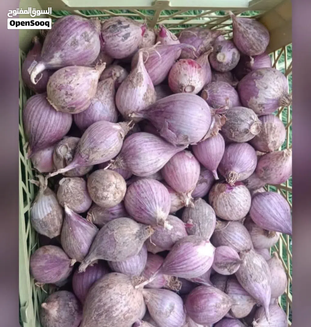 متوفر لدينا منتجات عمانيه جاهزه لتصدير