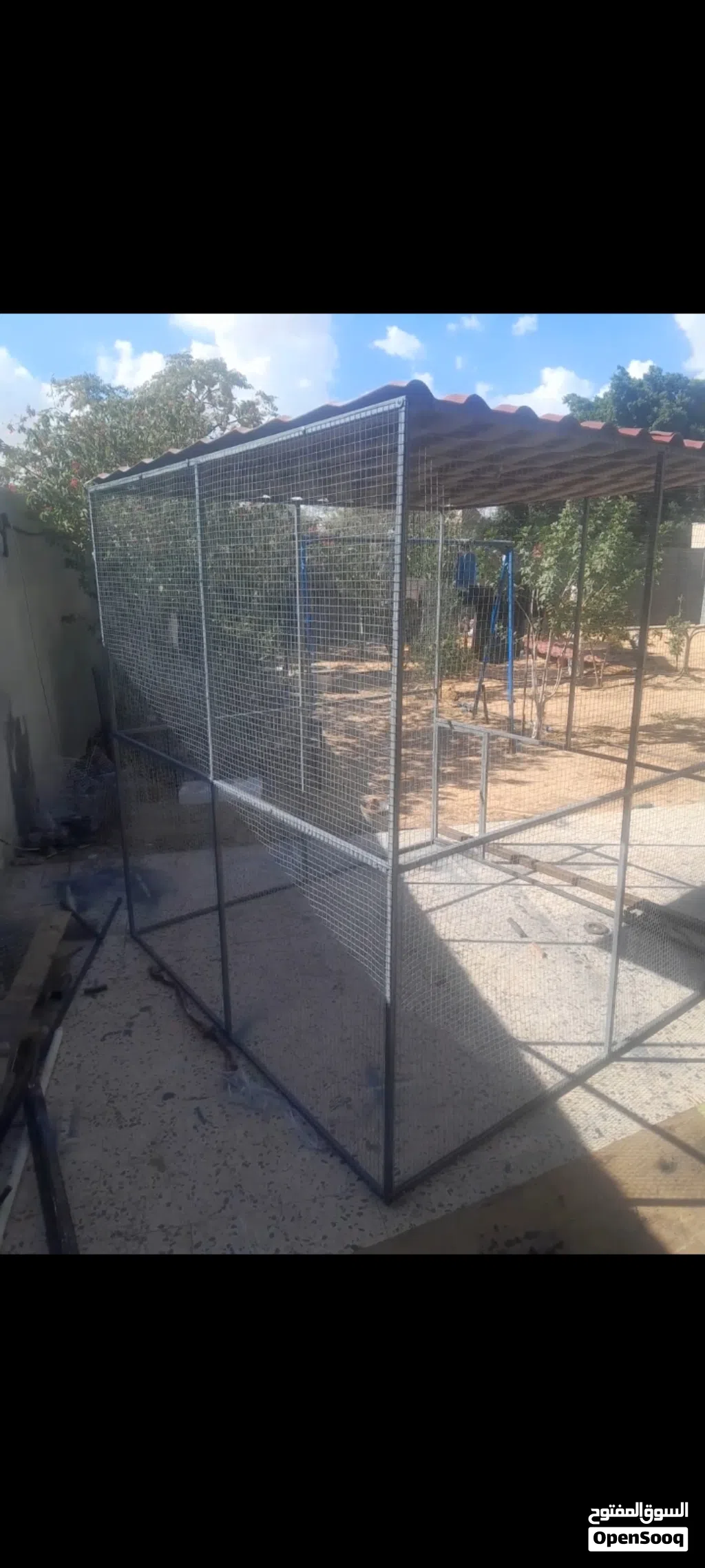 سزنة طيور حاجة منظمة وقوية