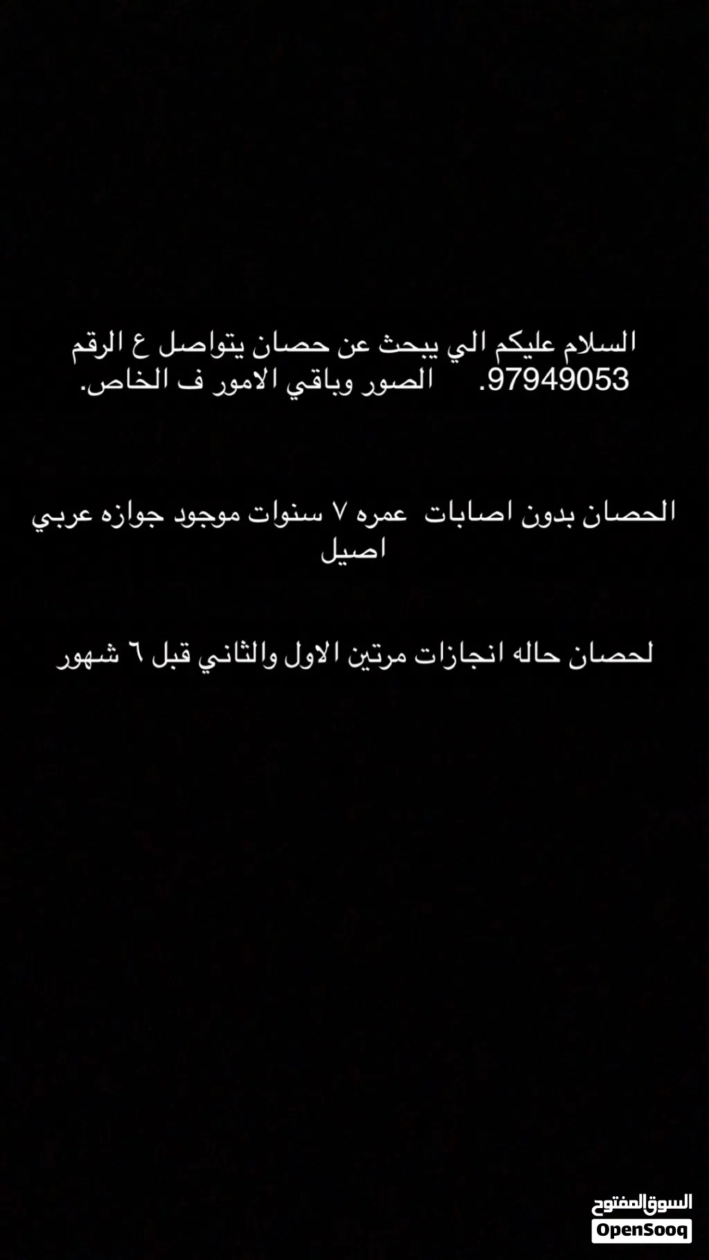 حصان اموره فوق طيبه بيعه سريعه.