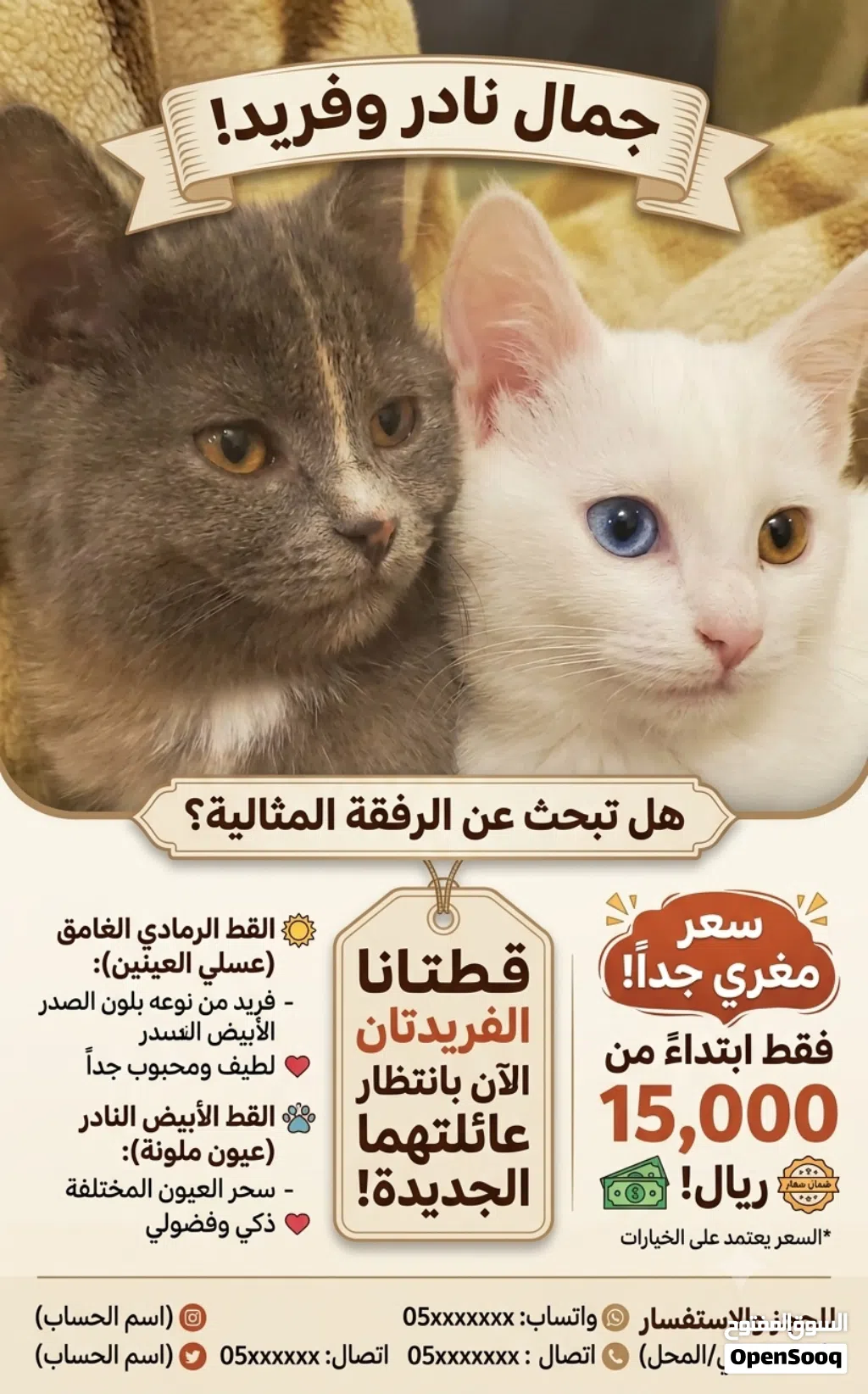 ينتظروا عائلة تحبهم ذولا الحلوين